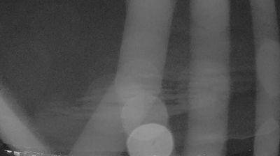 immagine della webcam nei dintorni di Castelfranco Veneto: webcam Lusiana