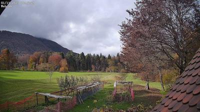 immagine della webcam nei dintorni di Monte Zoncolan: webcam Ampezzo