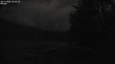 immagine della webcam nei dintorni di Cima Sappada: webcam Ampezzo