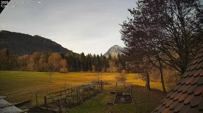 immagine della webcam nei dintorni di Monte Zoncolan: webcam Ampezzo