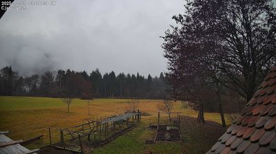 immagine della webcam nei dintorni di Monte Zoncolan: webcam Ampezzo