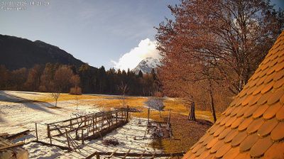 immagine della webcam nei dintorni di Monte Zoncolan: webcam Ampezzo