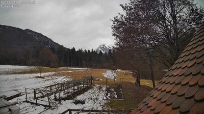 immagine della webcam nei dintorni di Sappada: webcam Ampezzo