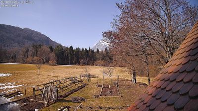 immagine della webcam nei dintorni di Forni Avoltri: webcam Ampezzo