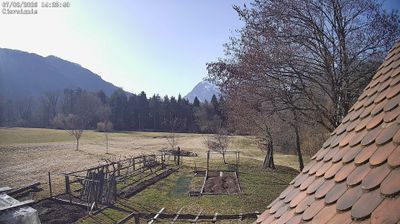 immagine della webcam nei dintorni di Arta Terme: webcam Ampezzo