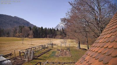 immagine della webcam nei dintorni di Enemonzo: webcam Ampezzo