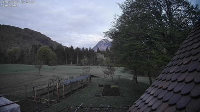 immagine della webcam nei dintorni di Ovaro: webcam Ampezzo