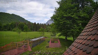 immagine della webcam nei dintorni di Forni di Sopra: webcam Ampezzo