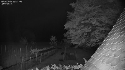 immagine della webcam nei dintorni di Forni di Sopra: webcam Ampezzo
