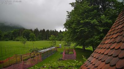 immagine della webcam nei dintorni di Osoppo: webcam Ampezzo