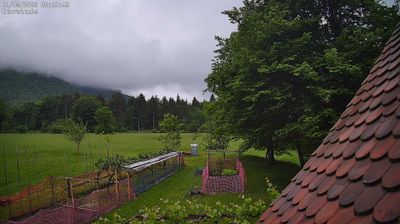 immagine della webcam nei dintorni di Maniago: webcam Ampezzo