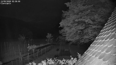 immagine della webcam nei dintorni di Monte Zoncolan: webcam Ampezzo