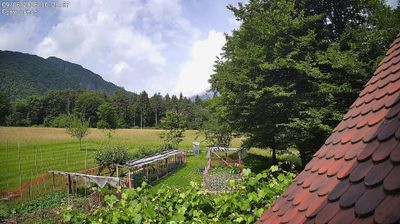 immagine della webcam nei dintorni di Enemonzo: webcam Ampezzo