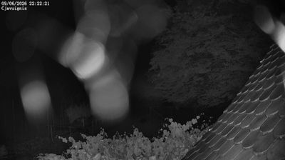 immagine della webcam nei dintorni di San Daniele del Friuli: webcam Ampezzo