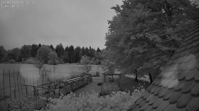 immagine della webcam nei dintorni di Maniago: webcam Ampezzo