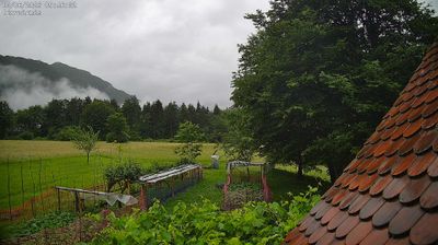 immagine della webcam nei dintorni di Gemona del Friuli: webcam Ampezzo