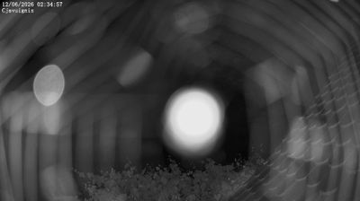 immagine della webcam nei dintorni di Osoppo: webcam Ampezzo