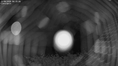 immagine della webcam nei dintorni di Forni di Sopra: webcam Ampezzo