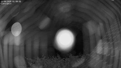 immagine della webcam nei dintorni di Osoppo: webcam Ampezzo