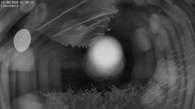 immagine della webcam nei dintorni di San Daniele del Friuli: webcam Ampezzo