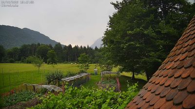 immagine della webcam nei dintorni di Forni di Sopra: webcam Ampezzo