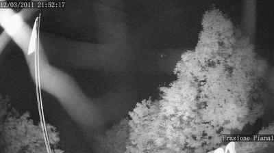 immagine della webcam nei dintorni di Alpe Campo di Rimasco: webcam Rassa
