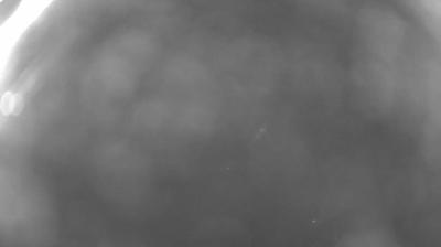 immagine della webcam nei dintorni di Campoli del Monte Taburno: webcam Apollosa