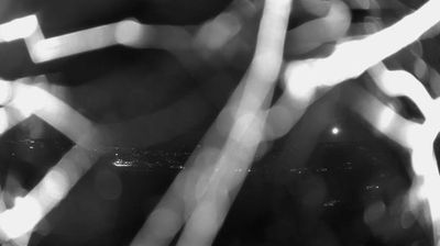 immagine della webcam nei dintorni di Arpaise: webcam Apollosa