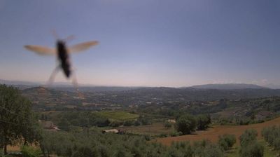 immagine della webcam nei dintorni di Limatola: webcam Apollosa