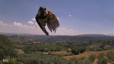 immagine della webcam nei dintorni di Benevento: webcam Apollosa