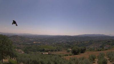 immagine della webcam nei dintorni di Benevento: webcam Apollosa