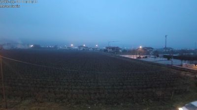 immagine della webcam nei dintorni di Cortaccia sulla Strada del Vino: webcam Lavis