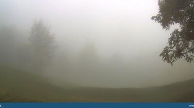immagine della webcam nei dintorni di Cismon del Grappa: webcam Seren del Grappa