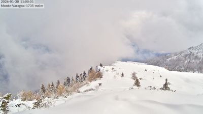 immagine della webcam nei dintorni di Vallarsa: webcam Brentonico