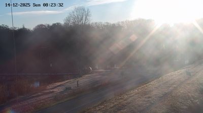 immagine della webcam nei dintorni di Cavallino-Treporti: webcam Fossalta di Piave