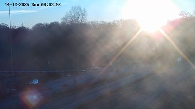 immagine della webcam nei dintorni di Caorle: webcam Fossalta di Piave