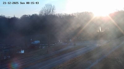 immagine della webcam nei dintorni di Lido di Venezia: webcam Fossalta di Piave