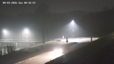 immagine della webcam nei dintorni di Musile di Piave: webcam Fossalta di Piave