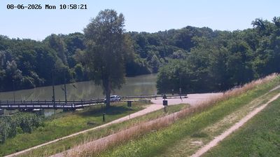 immagine della webcam nei dintorni di Musile di Piave: webcam Fossalta di Piave