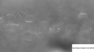 immagine della webcam nei dintorni di Lorenzago di Cadore: webcam Santo Stefano di Cadore