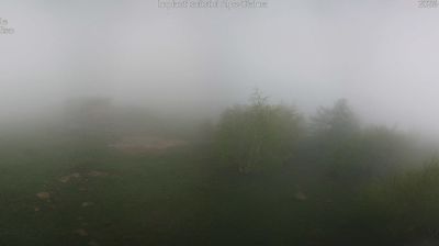 immagine della webcam nei dintorni di Pian della Mussa: webcam Alpe Cialma
