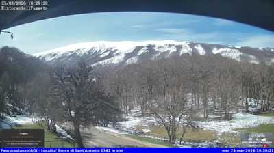 immagine della webcam nei dintorni di Bisegna: webcam Rocca Pia