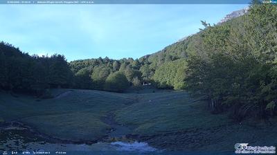 webcam