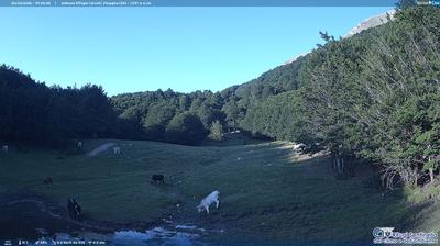 immagine della webcam nei dintorni di Marsico Nuovo: webcam Sanza
