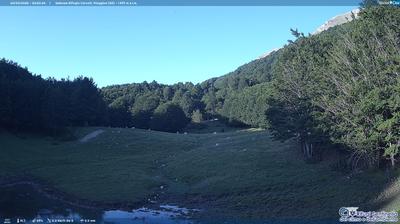 immagine della webcam nei dintorni di Teggiano: webcam Sanza