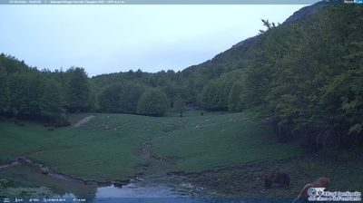 immagine della webcam nei dintorni di Brienza: webcam Sanza