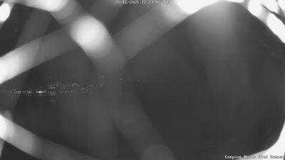 immagine della webcam nei dintorni di Pianello del Lario: webcam Domaso