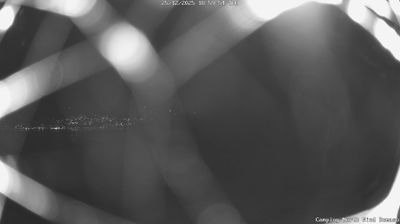 immagine della webcam nei dintorni di Sant'Abbondio: webcam Domaso