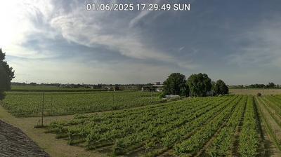 immagine della webcam nei dintorni di Argenta: webcam Bagnacavallo