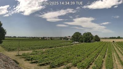 immagine della webcam nei dintorni di Medicina: webcam Bagnacavallo